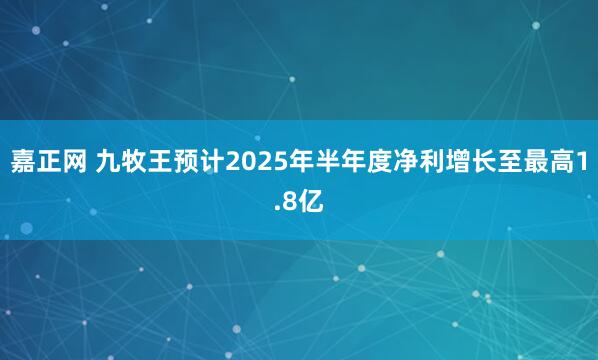 嘉正网 九牧王预计2025年半年度净利增长至最高1.8亿