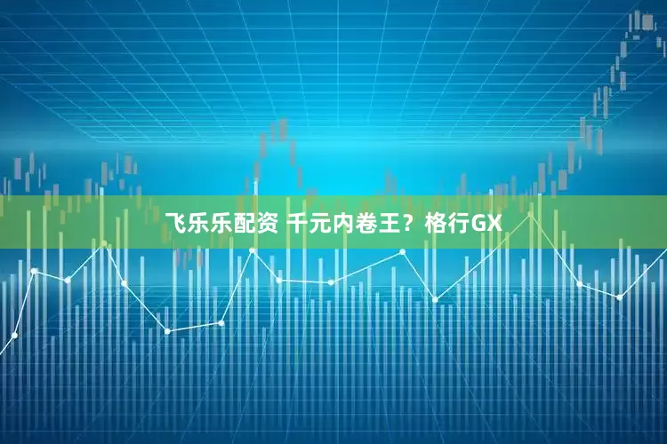 飞乐乐配资 千元内卷王？格行GX